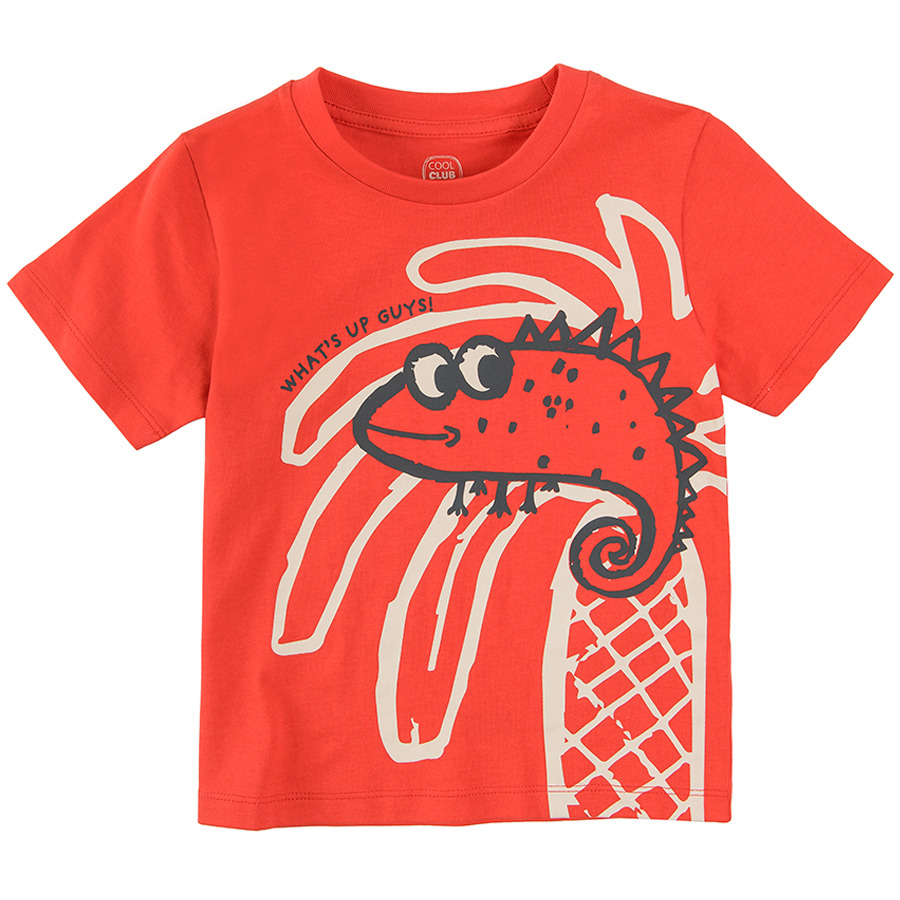 Tricouri pentru copii | magazin smyk.ro